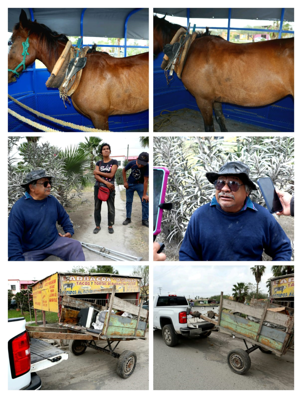 maltrato animal detienen a carretonero