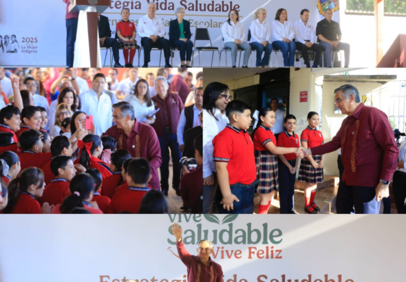 VIDA SALUDABLE 2