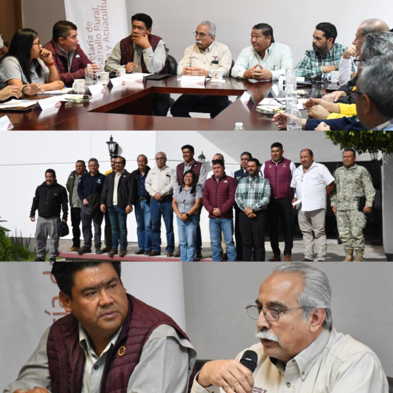 junta 2