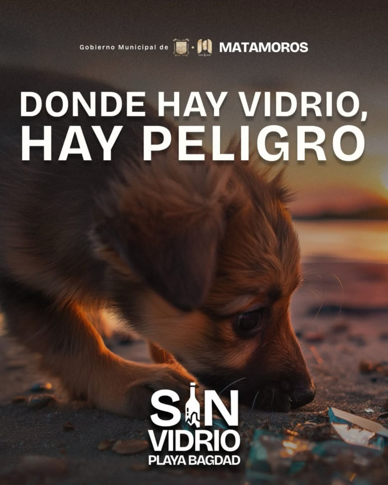 perritos