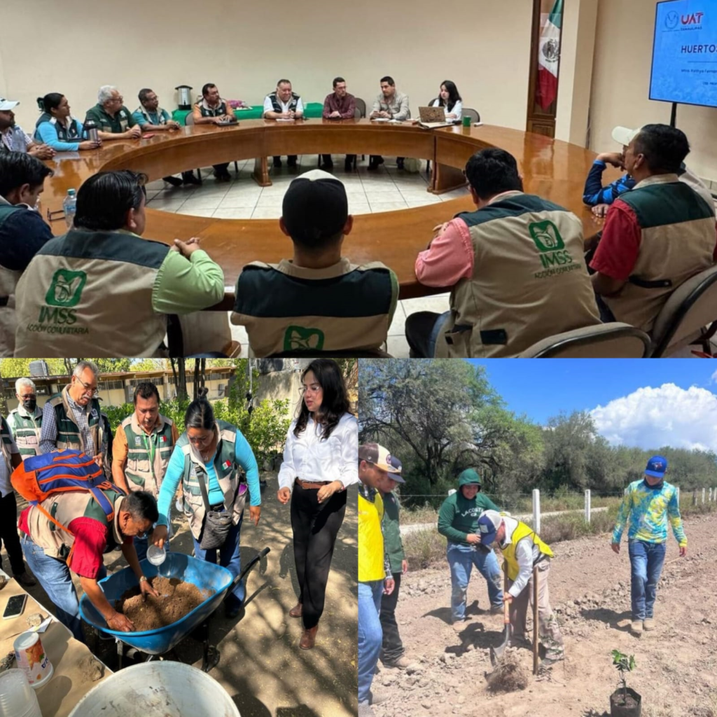 1 UAT IMSS