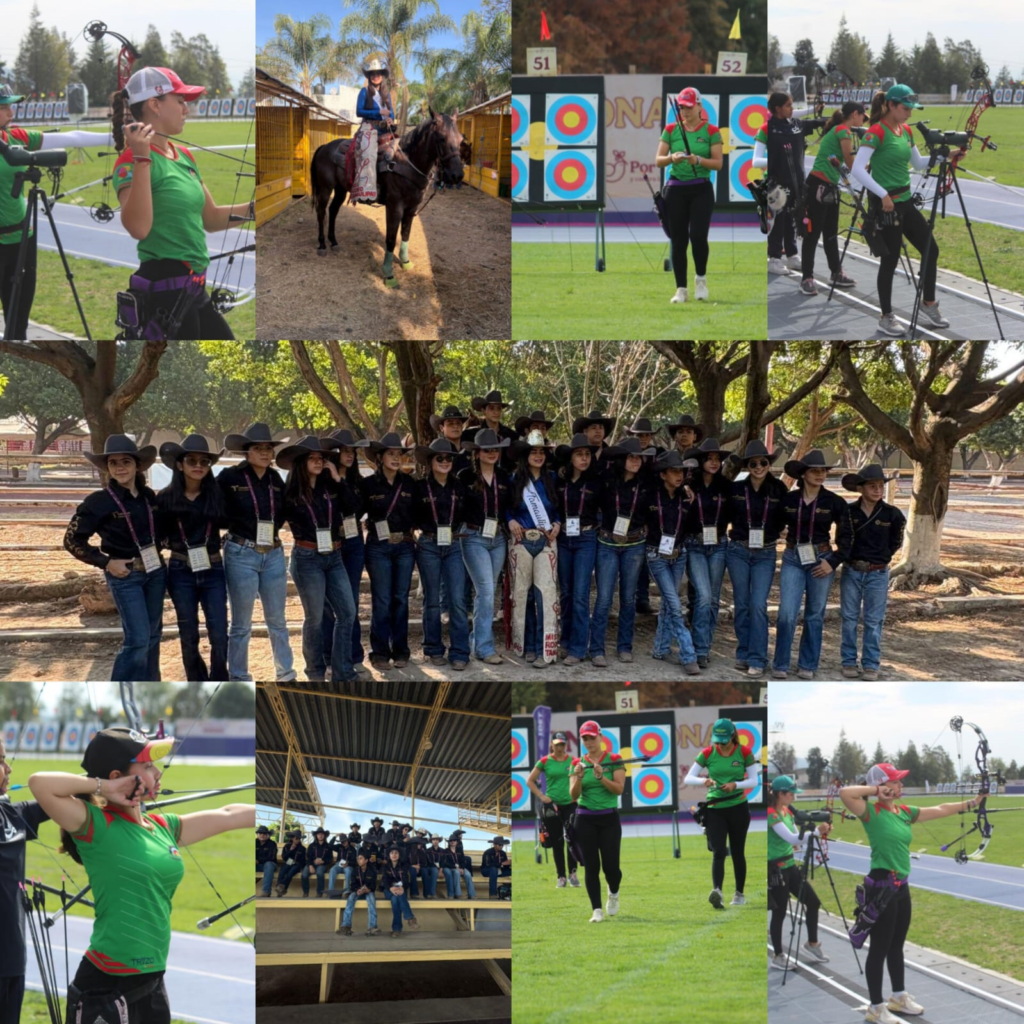5 deportes