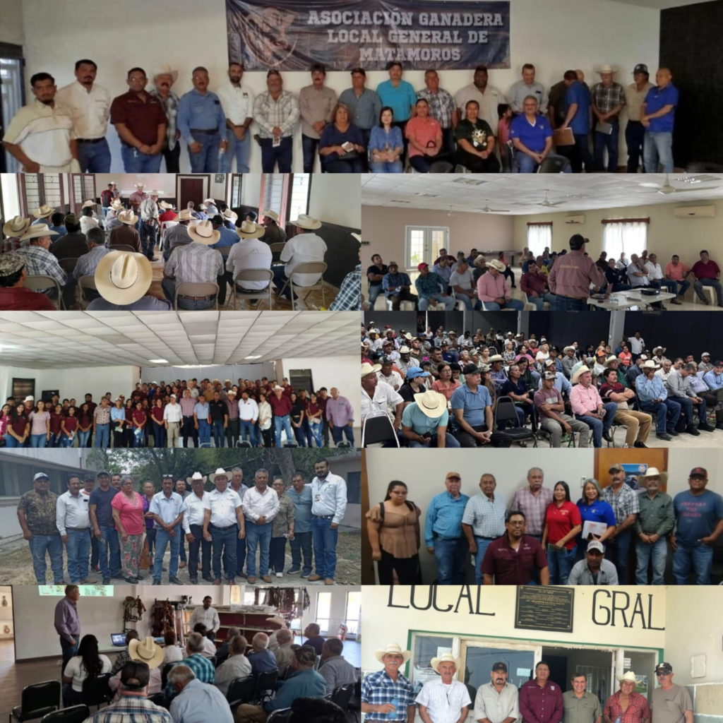 6 asociacion ganadera
