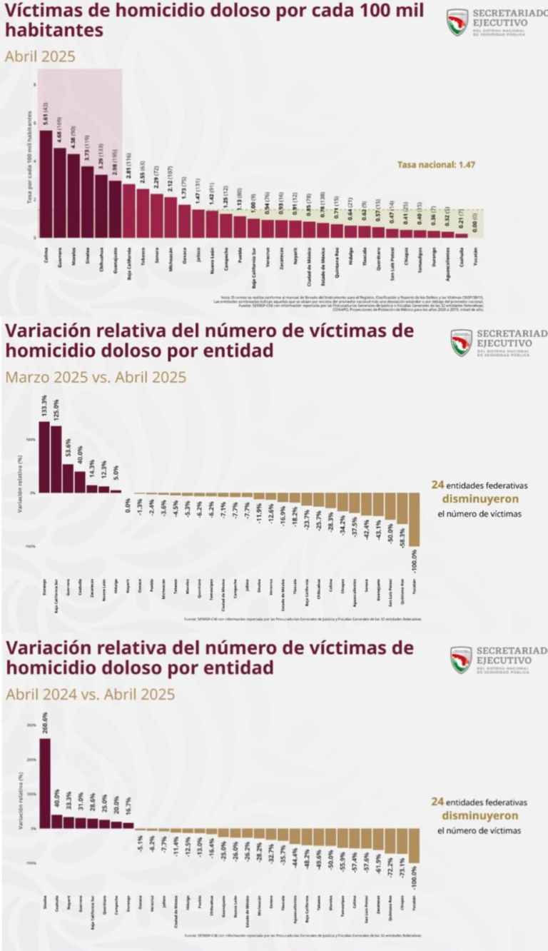 7 graficas delitos
