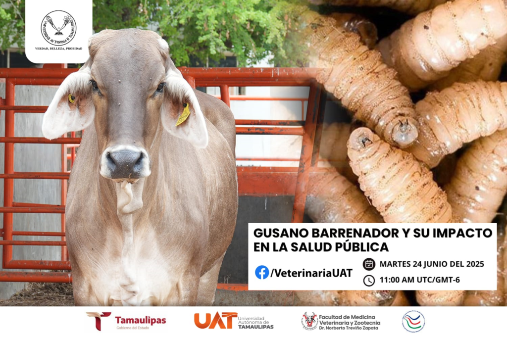 3 uat ganado