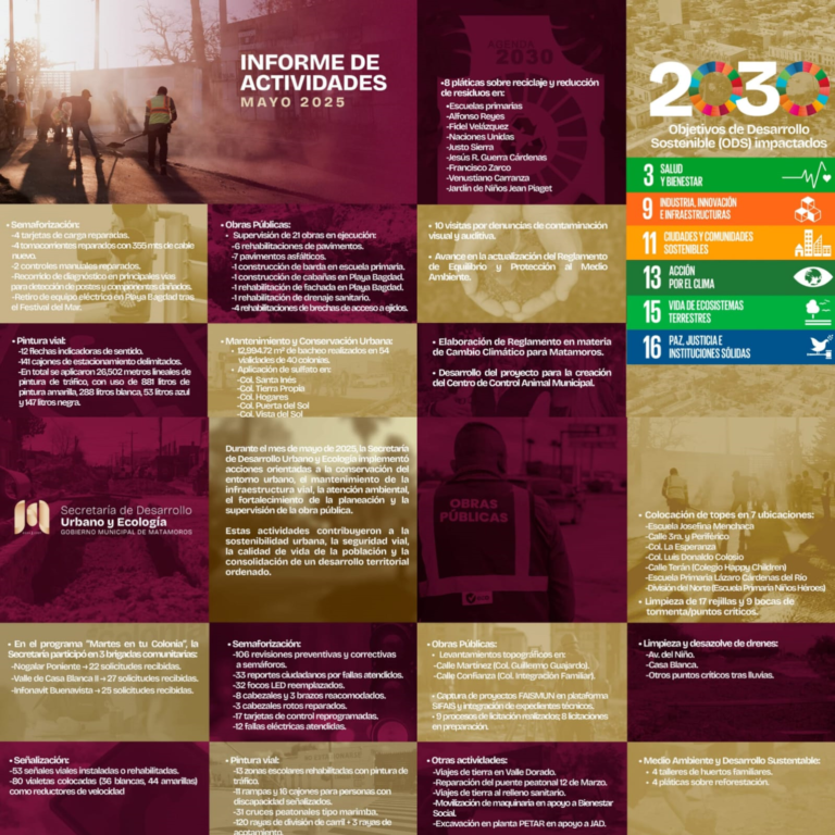4 actividades informe matamoros