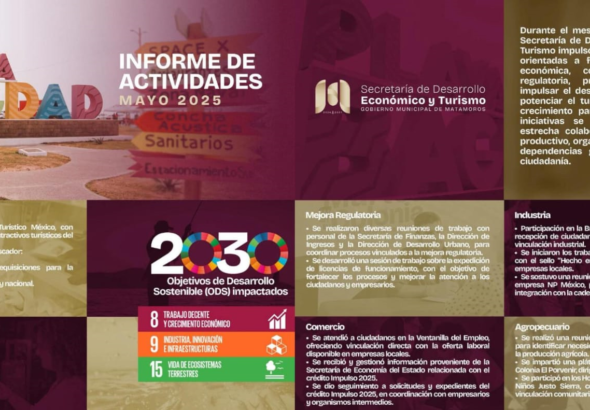 5 ACTIVIDADES INFORMES
