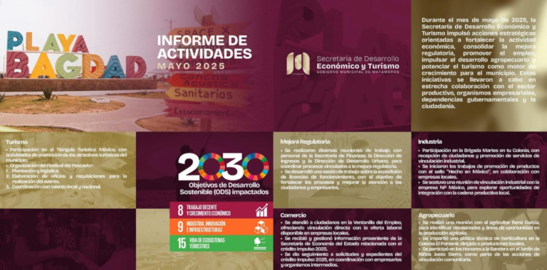 5 ACTIVIDADES INFORMES