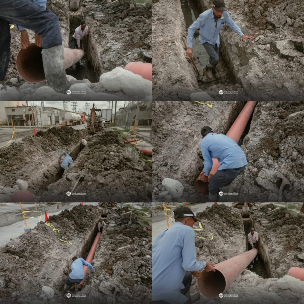 7 obras