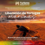 8 tortugas