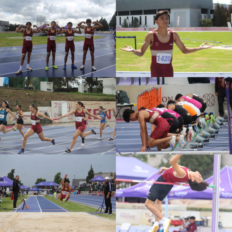 11 deportes