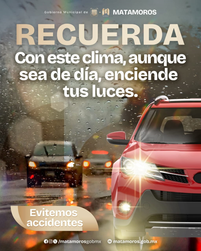 15 autos tormentas