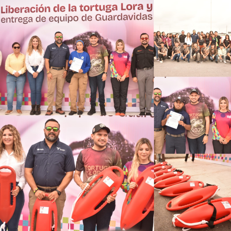 6 beto evento tortugas