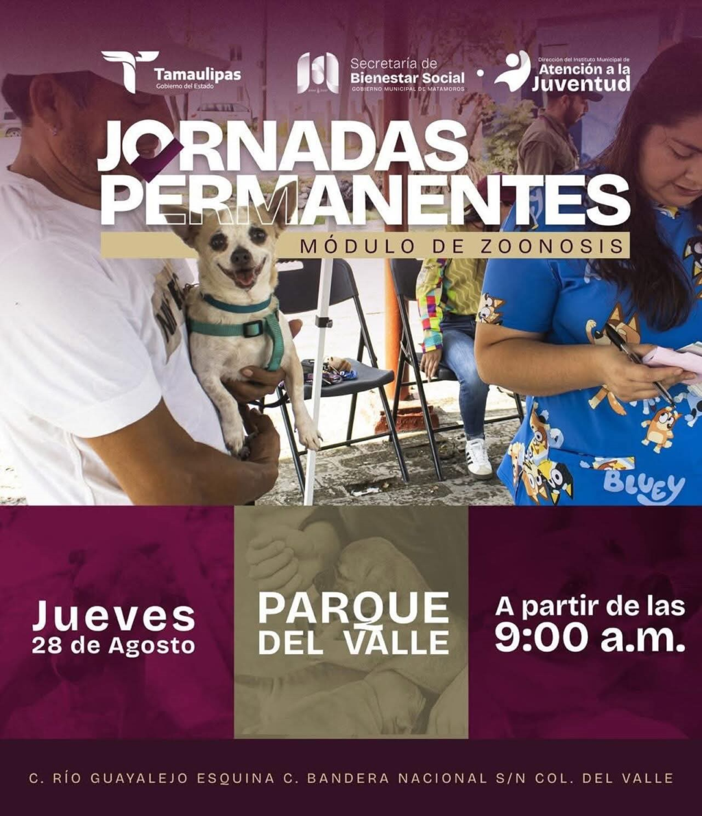 5 jornadas
