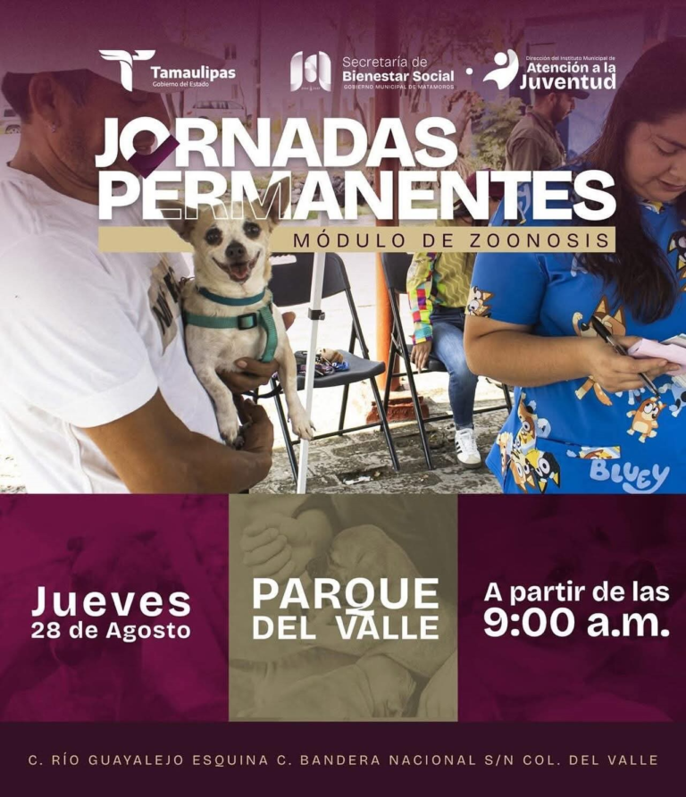 5 jornadas