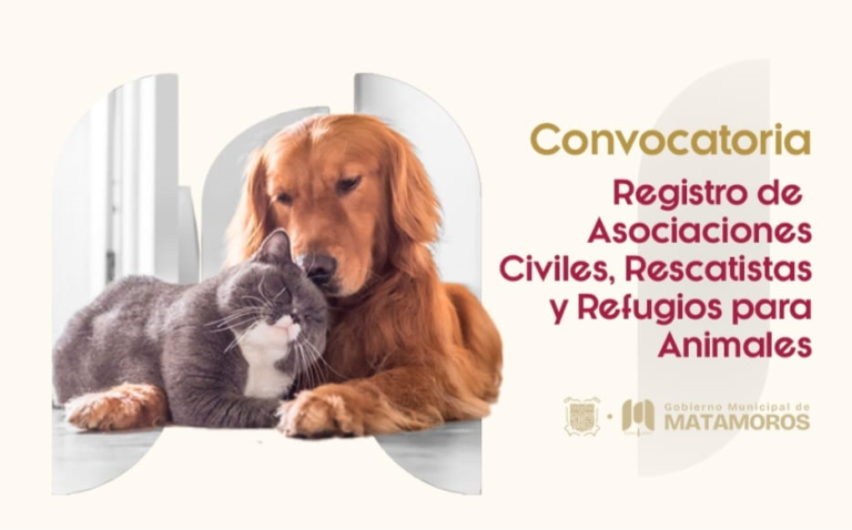 6 CONVOCATORIA