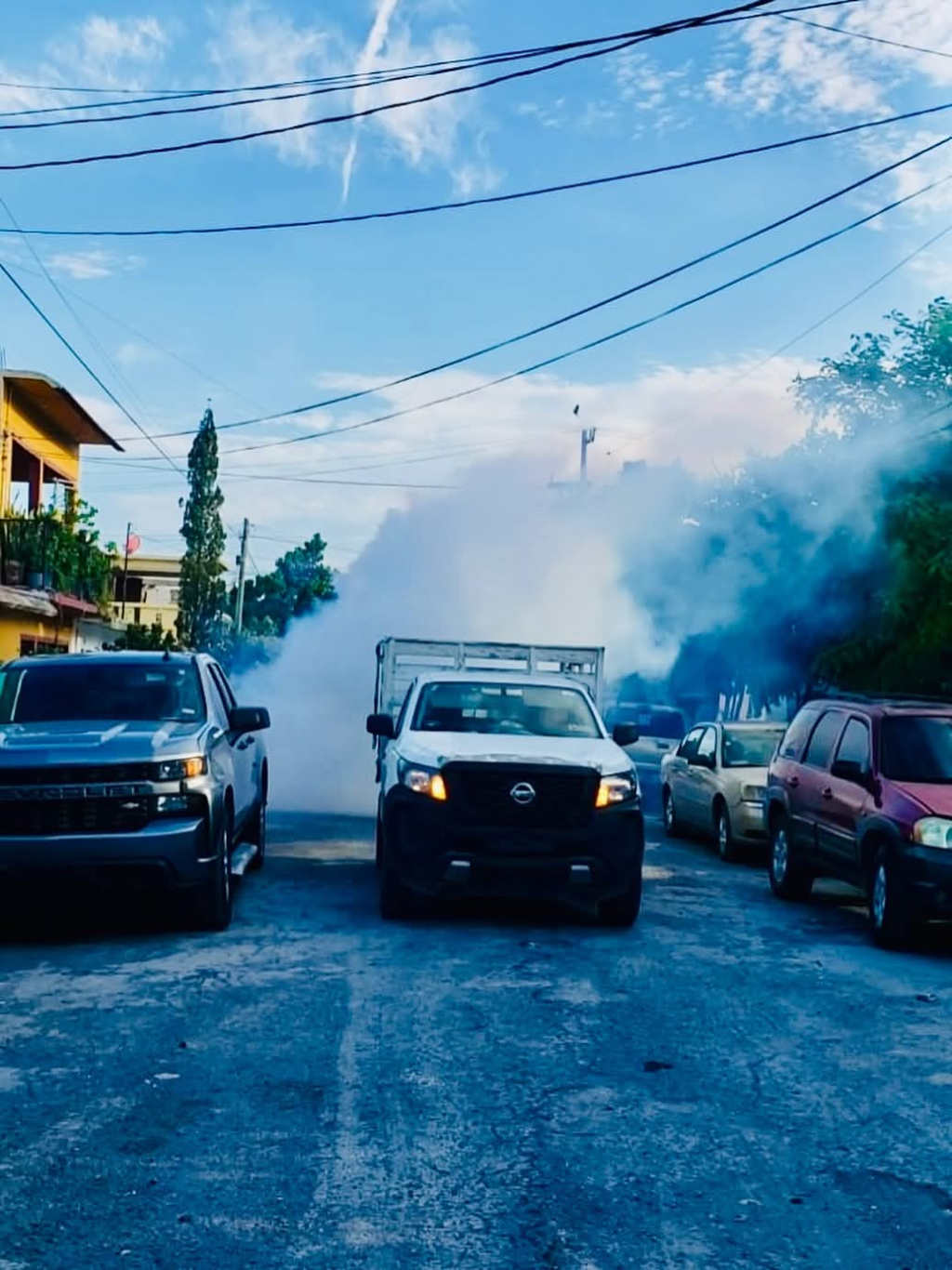 8 FUMIGACION CALLES