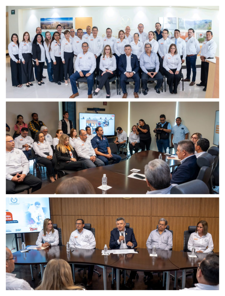 19 proyectos