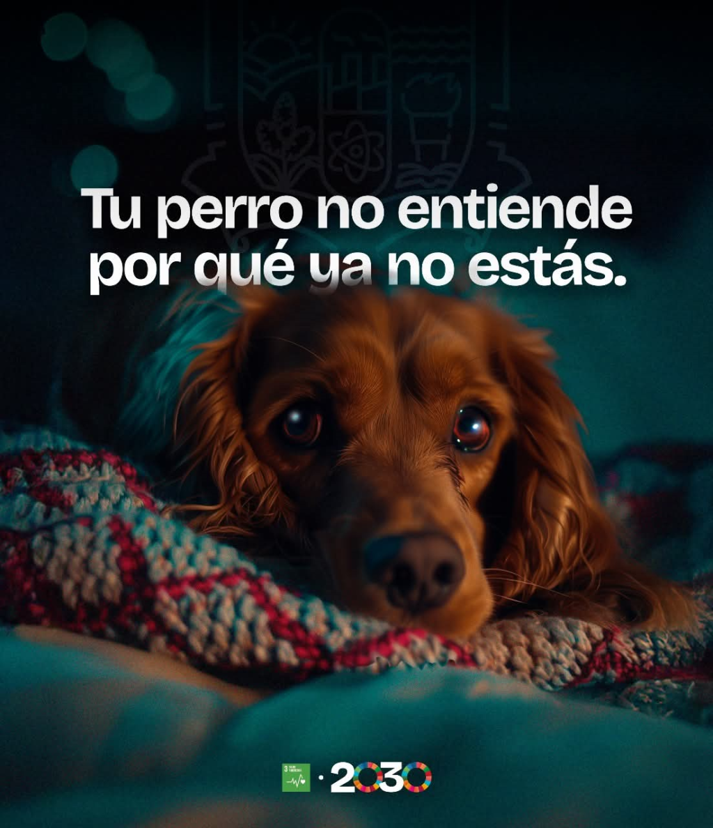 2 perrito