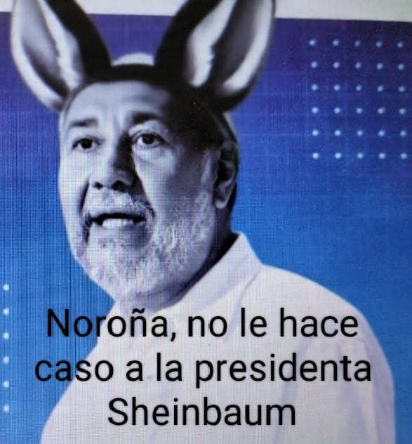 Noroña orejas de burro