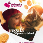 adopta amor