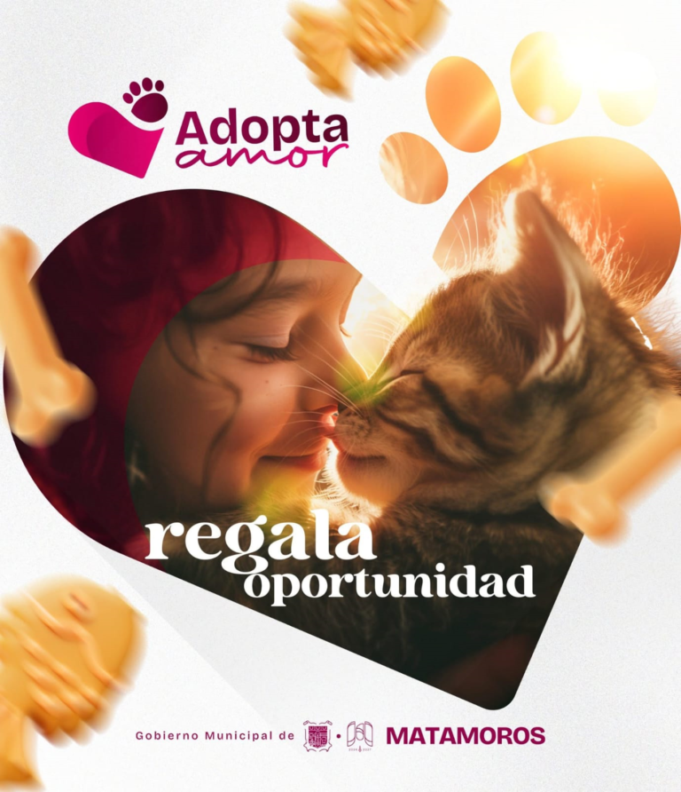 adopta amor