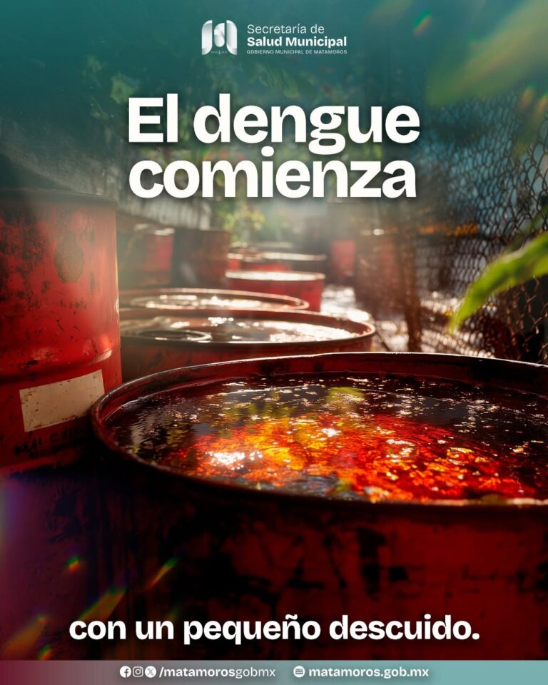 Imagen de WhatsApp 2025-11-08 a las 20.08.03_17452675