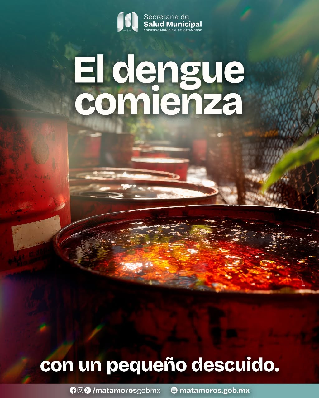 Imagen de WhatsApp 2025-11-08 a las 20.08.03_17452675