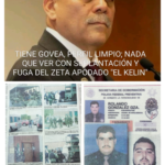 govea perfil sumamente limpio