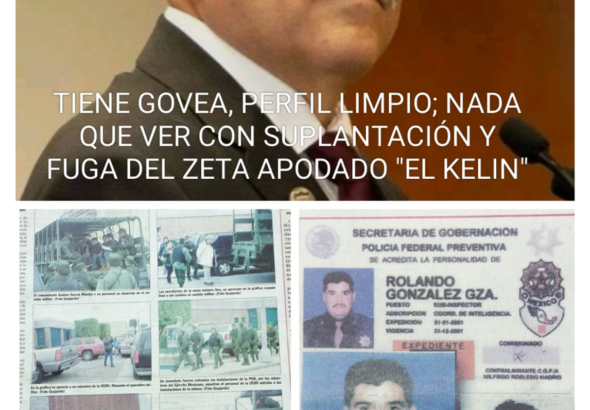 govea perfil sumamente limpio