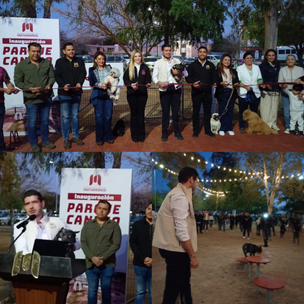 WhatsApp Image 2026-02-24 at 9.37.08 PM