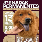 WhatsApp Image 2026-03-13 at 8.17.15 AM