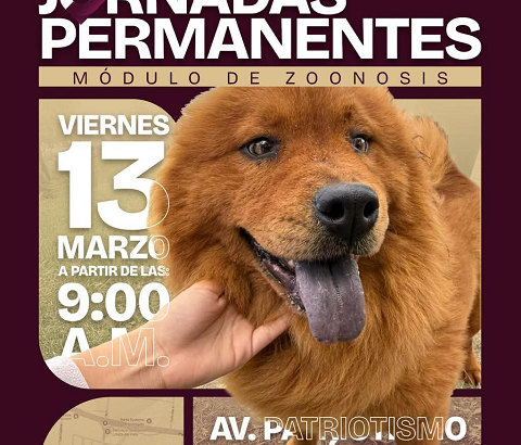 WhatsApp Image 2026-03-13 at 8.17.15 AM