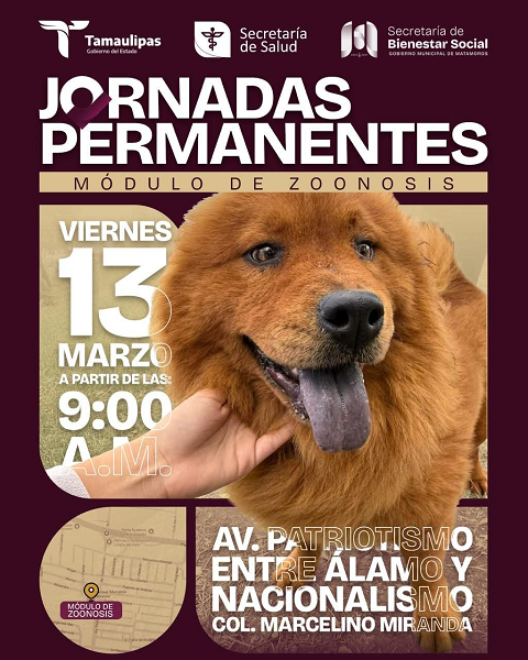 WhatsApp Image 2026-03-13 at 8.17.15 AM