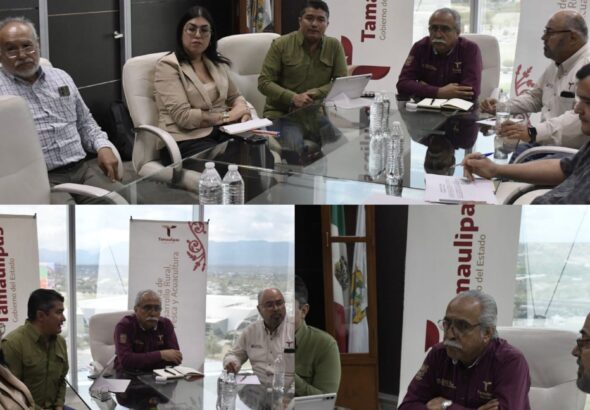 WhatsApp Image 2026-04-11 at 7.13.25 PM