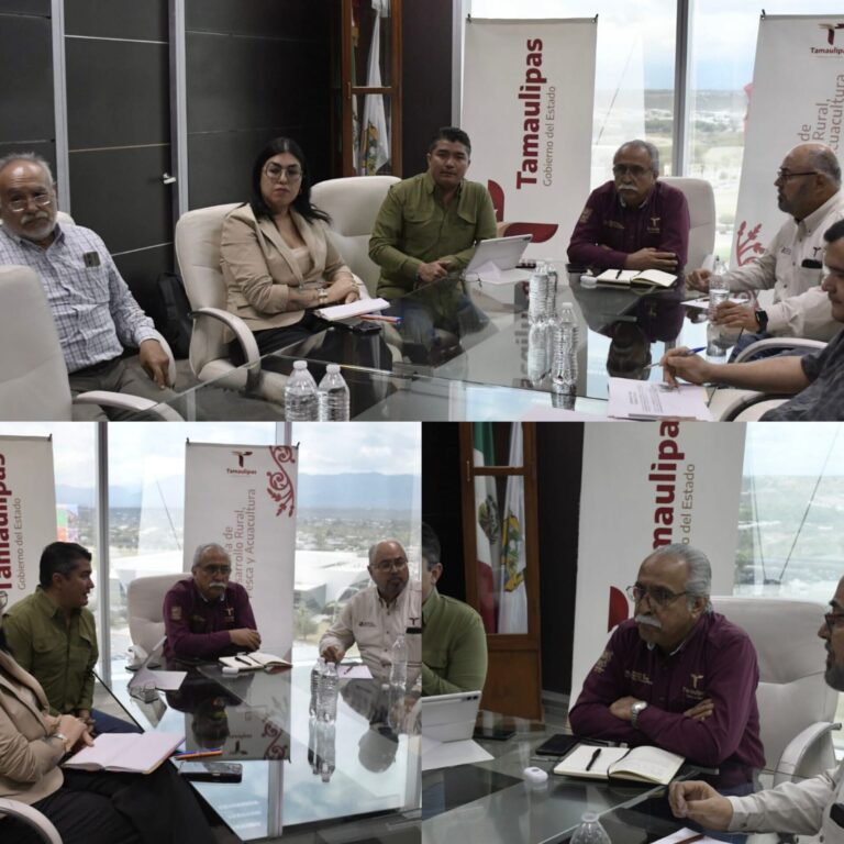 WhatsApp Image 2026-04-11 at 7.13.25 PM