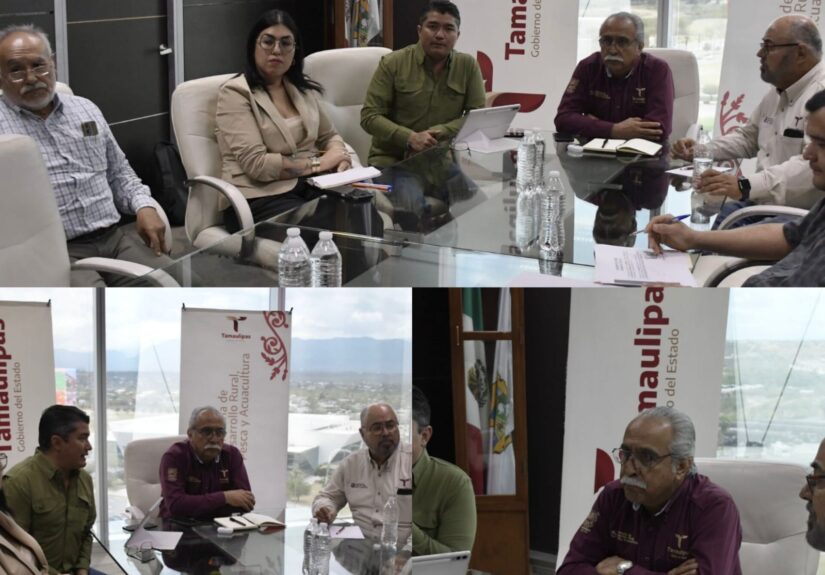 WhatsApp Image 2026-04-11 at 7.13.25 PM