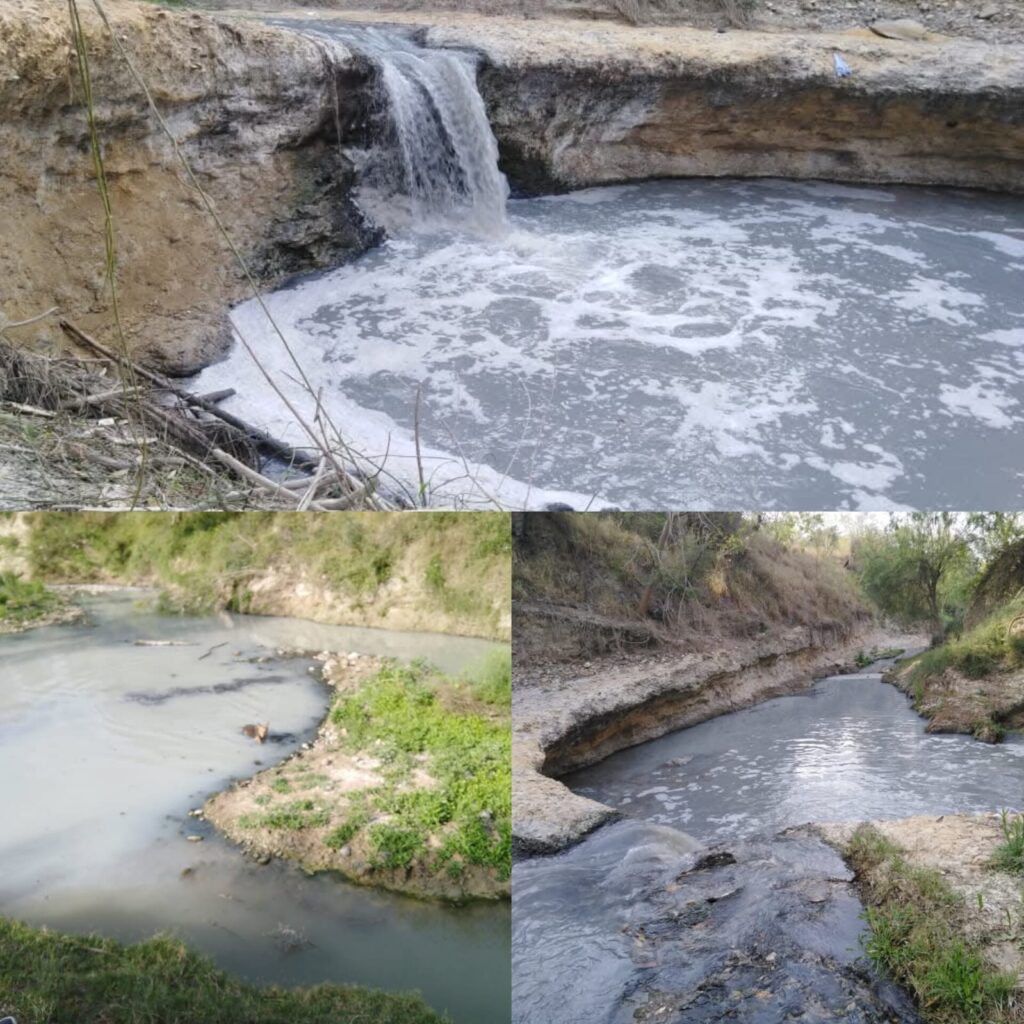 WhatsApp Image 2026-04-24 at 1.13.42 PM