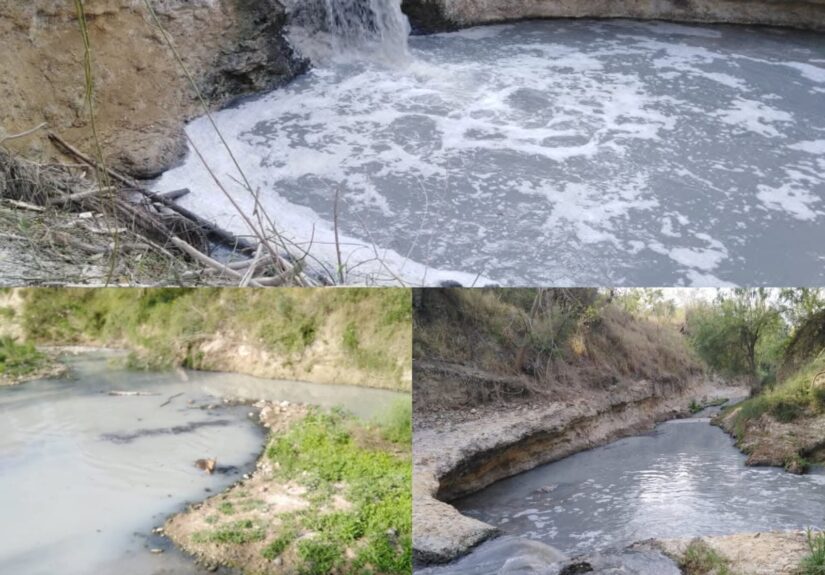 WhatsApp Image 2026-04-24 at 1.13.42 PM