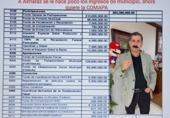 almaraz y sus ingresos