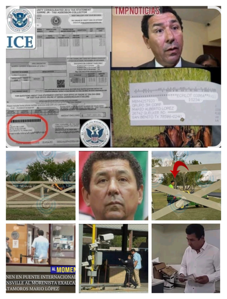 La borrega corrupta escupió al cielo