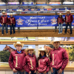 concurso rodeo
