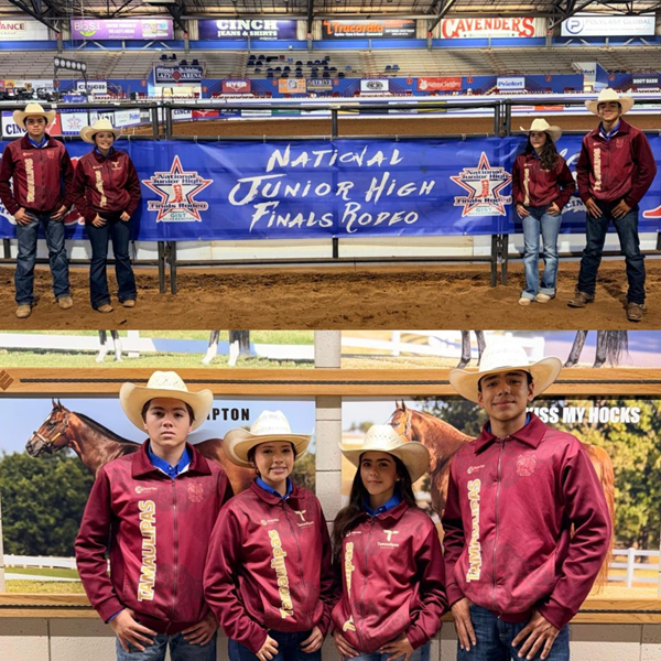 concurso rodeo