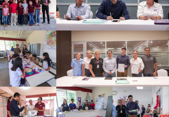 dif firmas
