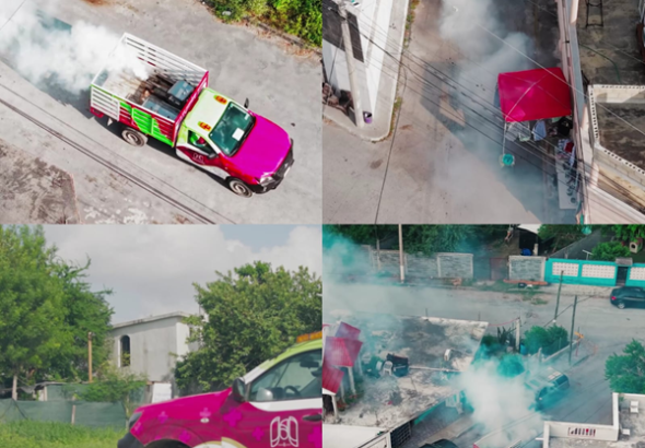 fumigacines