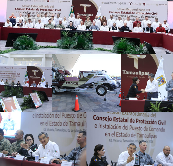 consejo estatal