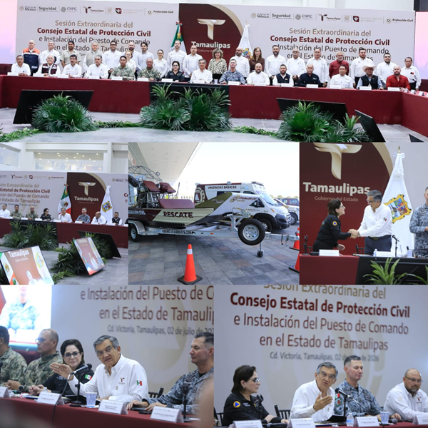 consejo estatal