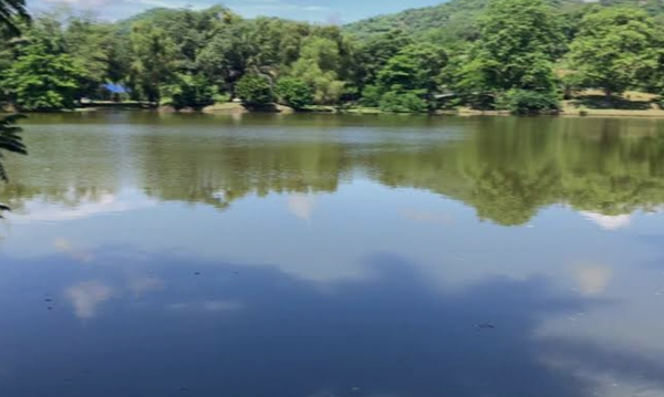 lago