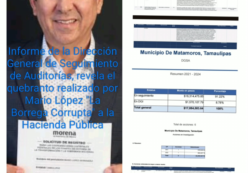 Borrega 1
